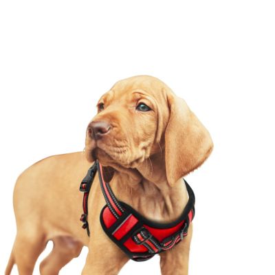 GOOPAWS Adjustable Padded Easy Control Lightweight Reflective Dog Harness, Red, S