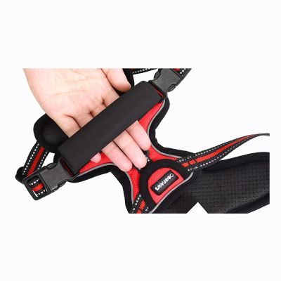 Image showing 5 th GOOPAWS Adjustable Padded Easy Control Lightweight Reflective Dog Harness