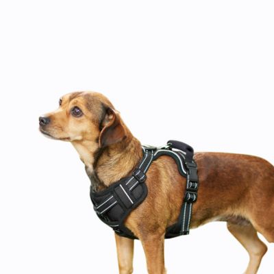 GOOPAWS Adjustable Padded Easy Control Lightweight Reflective Dog Harness, Black, M