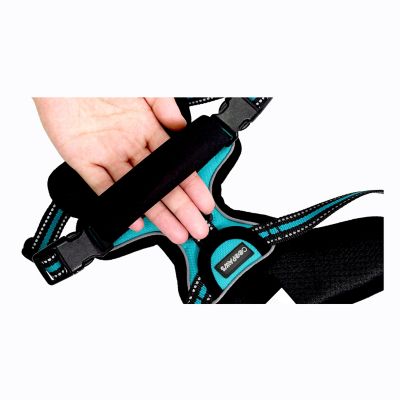 Image showing 5 th GOOPAWS Adjustable Padded Easy Control Lightweight Reflective Dog Harness