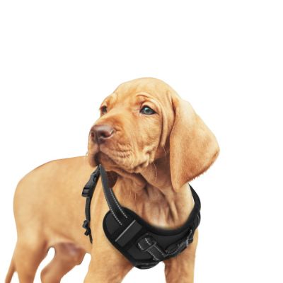 GOOPAWS Adjustable Padded Easy Control Lightweight Reflective Dog Harness, Black, S