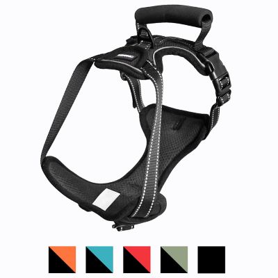Image showing 1 th GOOPAWS Adjustable Padded Easy Control Lightweight Reflective Dog Harness