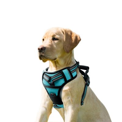 GOOPAWS Adjustable Padded Easy Control Lightweight Reflective Dog Harness, Blue, L