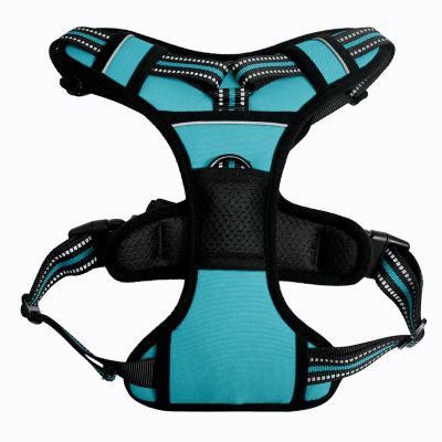 Image showing  Adjustable Padded Easy Control Lightweight Reflective Dog Harness, Blue, L