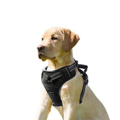 GOOPAWS Adjustable Padded Easy Control Lightweight Reflective Dog Harness, Black, L