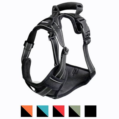 Image showing 1 th GOOPAWS Adjustable Padded Easy Control Lightweight Reflective Dog Harness