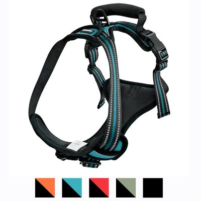 Image showing  Adjustable Padded Easy Control Lightweight Reflective Dog Harness, Blue, M