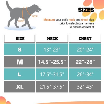 Image showing  Adjustable Padded Easy Control Lightweight Reflective Dog Harness, Blue, M