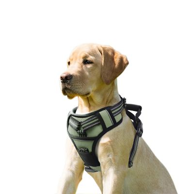 GOOPAWS Adjustable Padded Easy Control Lightweight Reflective Dog Harness, Green, L