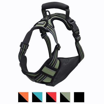 Image showing 1 th GOOPAWS Adjustable Padded Easy Control Lightweight Reflective Dog Harness