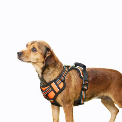 GOOPAWS Adjustable Padded Easy Control Lightweight Reflective Dog Harness, Orange, M
