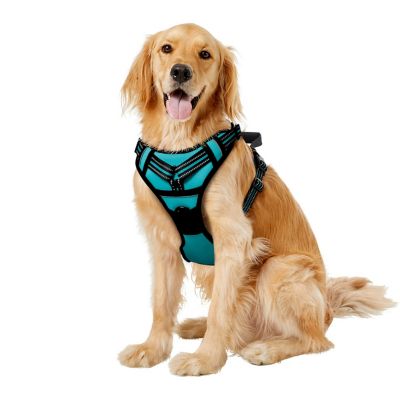 GOOPAWS Adjustable Padded Easy Control Lightweight Reflective Dog Harness, Blue, XL