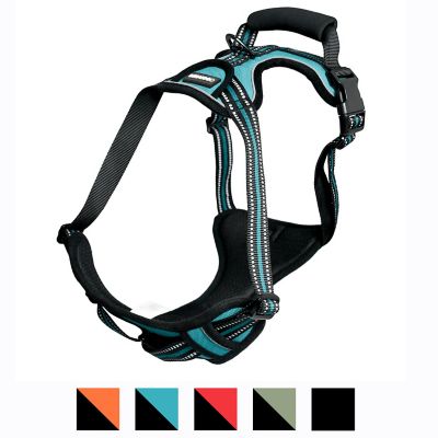 Image showing  Adjustable Padded Easy Control Lightweight Reflective Dog Harness, Blue, XL