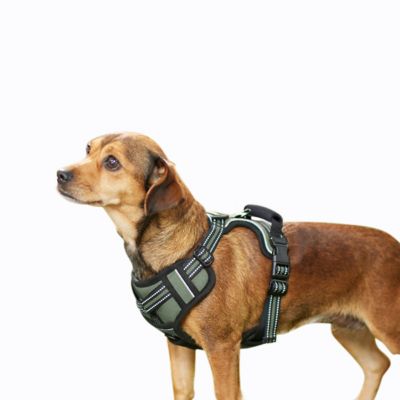 GOOPAWS Adjustable Padded Easy Control Lightweight Reflective Dog Harness, Green, M