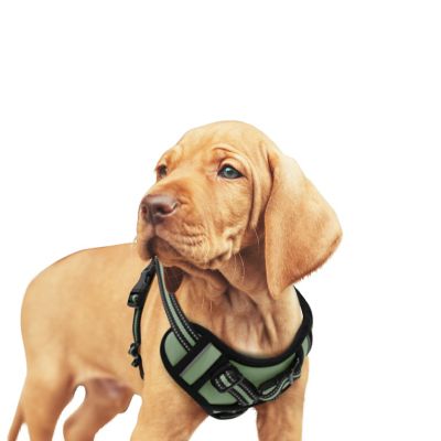 GOOPAWS Adjustable Padded Easy Control Lightweight Reflective Dog Harness, Green, S