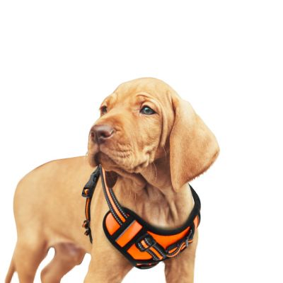 GOOPAWS Adjustable Padded Easy Control Lightweight Reflective Dog Harness, Orange, S