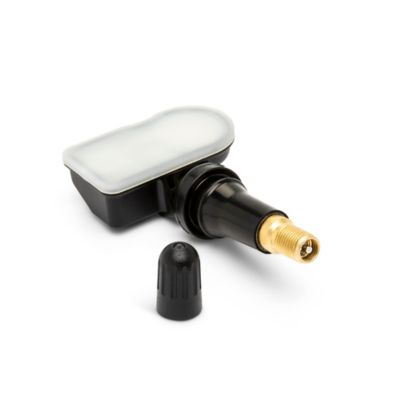 Image showing 2 th GEARWRENCH Universal Programmable Rubber TPMS Sensor, 4 pk.