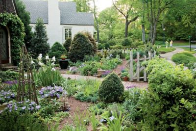 Southern Living Perennial Asst SL 1g