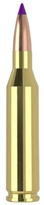 Nosler .243 Win 70-Grain Ballistic Tip Varmint Rifle Ammunition, 20 Rounds