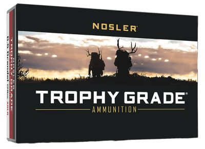 Nosler Trophy Grade 6.5 Grendel 129-Grain Nosler Spitzer AccuBond Long-Range Rifle Ammunition, 20 Rounds