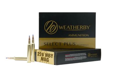 Weatherby .224 Weatherby Mag 80.5-Grain Rifle Ammunition, 20 Rounds