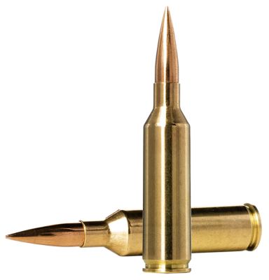 Norma Ammunition Golden Target Match 6.5 PRC 143-Grain Hollow Point Boat Tail Rifle Ammunition, 20 Rounds