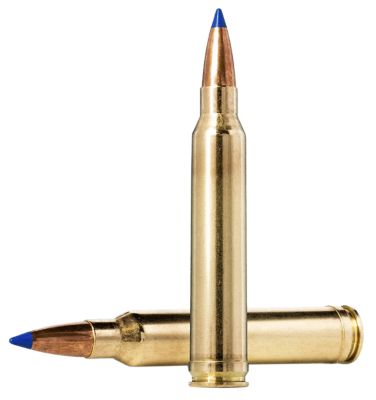 Norma Ammunition Dedicated Hunting Bondstrike .300 Win Magnum 180-Grain Bonded Polymer Tip Rifle Ammunition, 20 Rounds