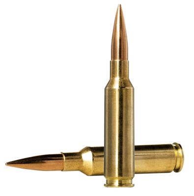 Norma Ammunition Golden Target Match 6.5 Creedmoor 130-Grain Boat Tail Hollow Point Rifle Ammunition, 20 Rounds