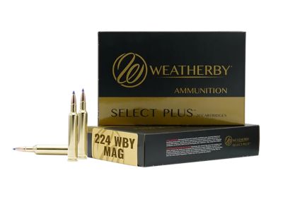 Weatherby .224 Weatherby Mag 50-Grain Hornady V-Max Rifle Ammunition, 20 Rounds