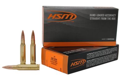 HSM Match Subsonic .308 Win 175-Grain Hollow Point Boat Tail Rifle Ammunition, 20 Rounds
