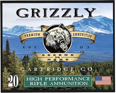 Grizzly Ammo .45-70 Government 410-Grain Full Metal Jacket Flat Point Rifle Ammunition, 20 Rounds