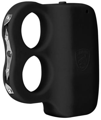 Skyline USA I-DO-TWO Stun Gun with Light and Wall Charger, Black