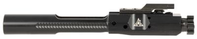 Rise Armament Bolt Carrier Group for AR-10, 30 Cal, Black Nitride, Steel
