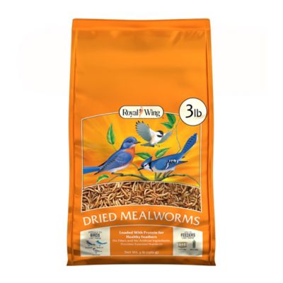 Royal Wing Dried Mealworm Bird Feed, 3 lb.
