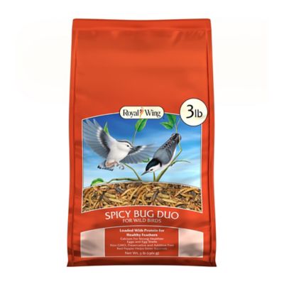 Royal Wing Spicy Mix Dried Black Soldier Fly Larvae and Mealworms Bird Feed, 3 lb.