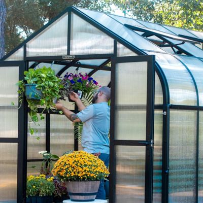 Image showing  Vego Pacific Greenhouse, 8.5 x 12.5ft.