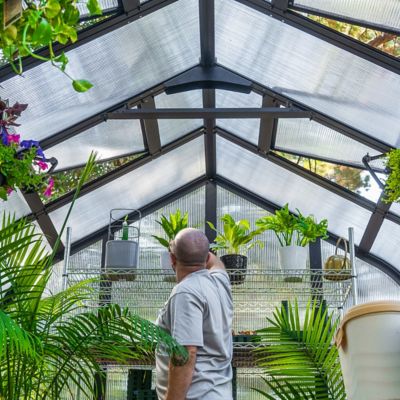 Image showing  Vego Pacific Greenhouse, 8.5 x 12.5ft.