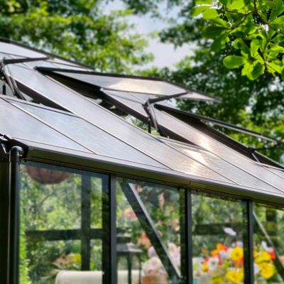 Image showing  Vego Victorian Greenhouse with Glass, 8.5 x 12.5ft..