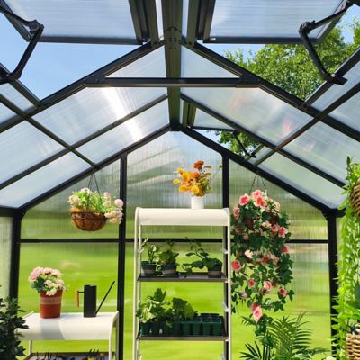 Image showing  Vego Junior Victorian Greenhouse, 8.0 x 10.5ft.
