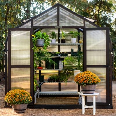 Image showing  Vego Pacific Greenhouse, 8.5 x 8.5ft.