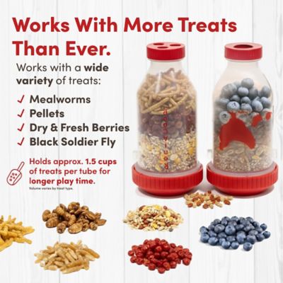 Image showing  Small Chicken Treat Dispenser