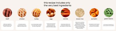 Image showing  Homestyle Creations Adult Beef, Chicken and Turkey Recipe with Brown Rice and Veggies Fresh Dog Food, 2 lb.