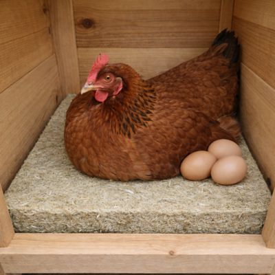 Image showing  Hemp Fiber Thick Nesting Pads for Chickens, 12 x 12in., 10 pk.