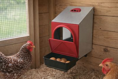 Image showing  Metal Rollout Chicken Nest Box, Single Hole