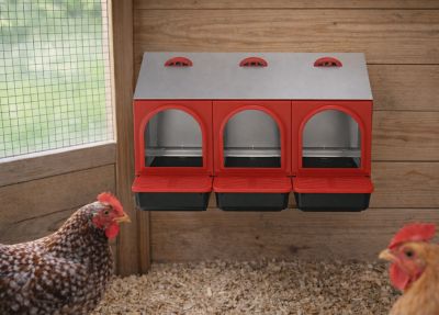 Image showing  Metal Rollout Chicken Nest Box, 3-hole