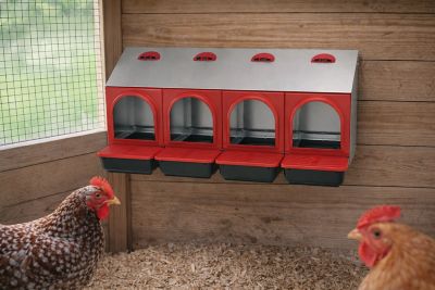 Image showing  Metal Rollout Chicken Nest Box, 4-hole