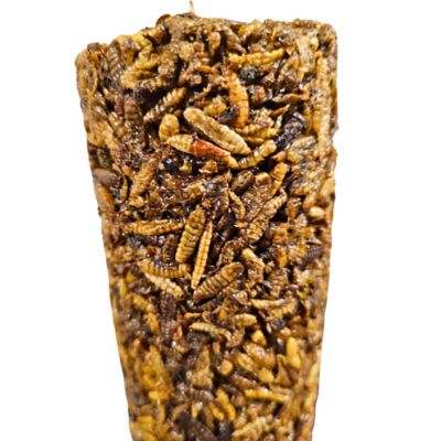 Image showing  Peck Away Grub, Hanging Chicken Treat