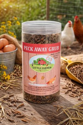 Image showing  Peck Away Grub, Hanging Chicken Treat