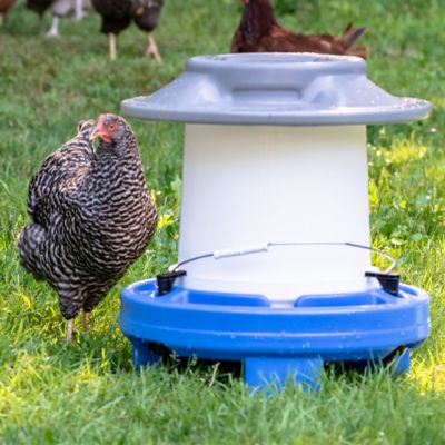 Image showing 3 th Simplay3 Farmstead Chicken Drinker