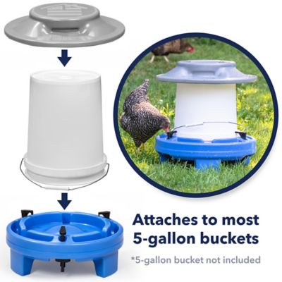 Image showing 4 th Simplay3 Farmstead Chicken Drinker